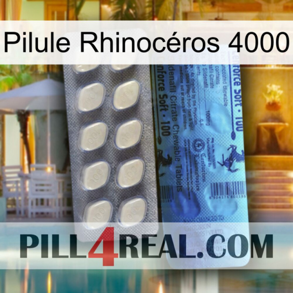 Pilule Rhinocéros 4000 34